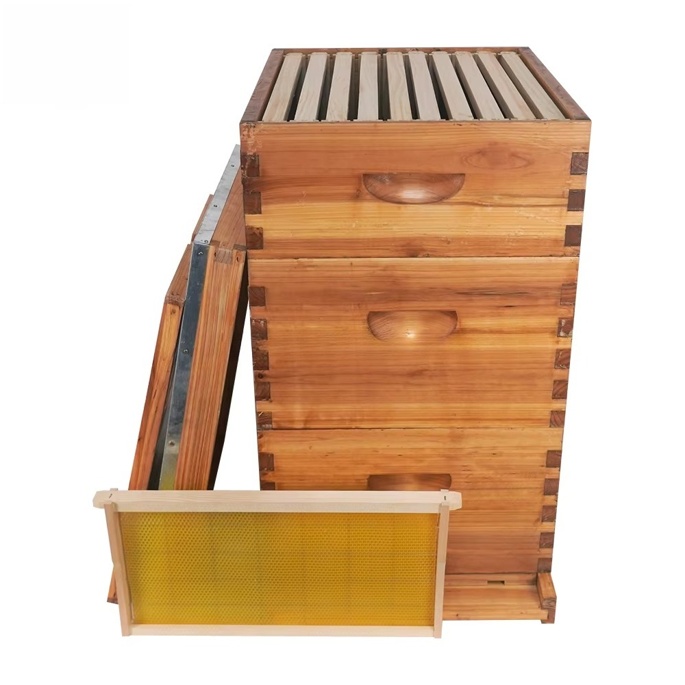 3 katmanlı, balmumu ile kaplan - Beehive Frame Wax incelemesi ve fiyatı